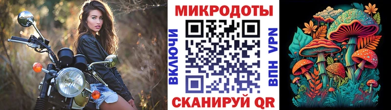 купить наркоту  Апрелевка  Псилоцибиновые грибы Cubensis 